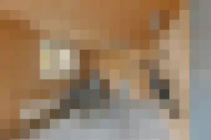 Grimbeert 8 Kollum thumbnail 45