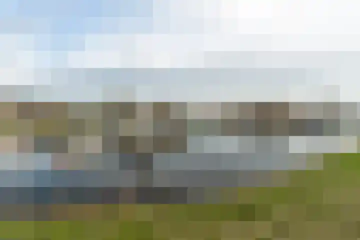 Grimbeert 8 Kollum thumbnail 46