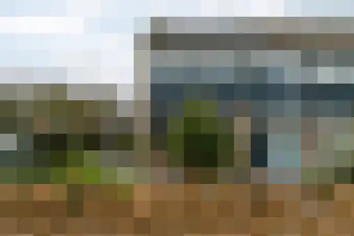 Grimbeert 8 Kollum thumbnail 5