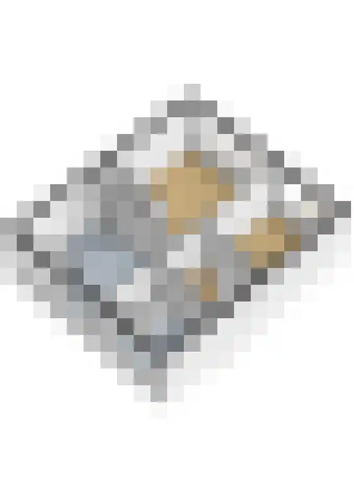 Grimbeert 8 Kollum thumbnail 53