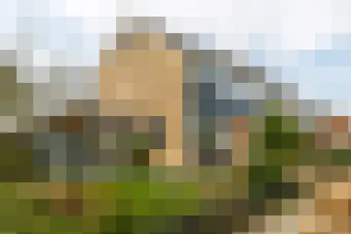 Grimbeert 8 Kollum thumbnail 6