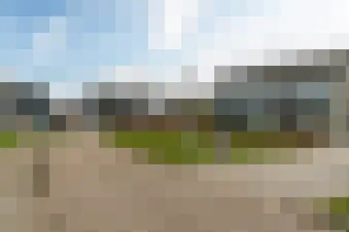 Grimbeert 8 Kollum thumbnail 7