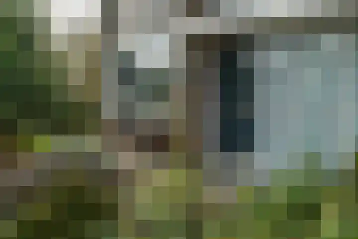 Grimbeert 8 Kollum thumbnail 8