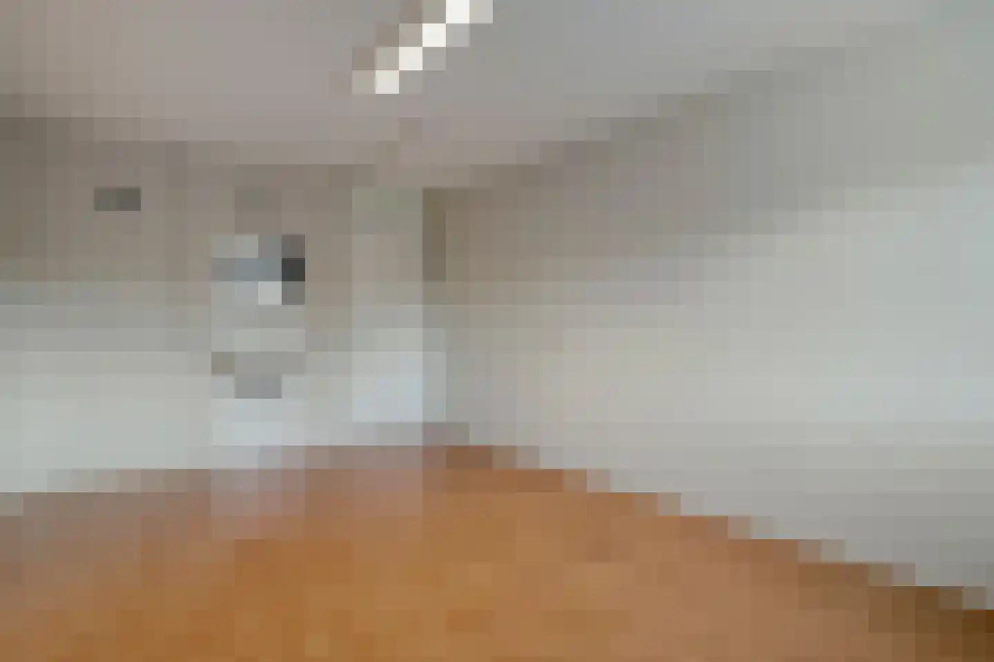 Grimberg 1 Raalte thumbnail 46
