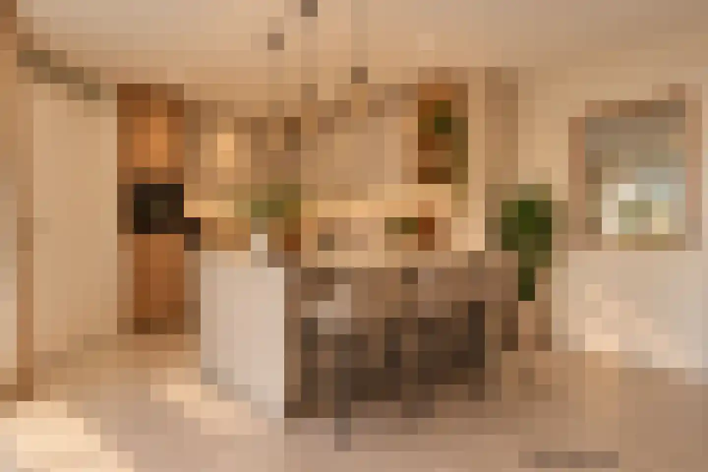 Grimberg 3 Raalte thumbnail 18