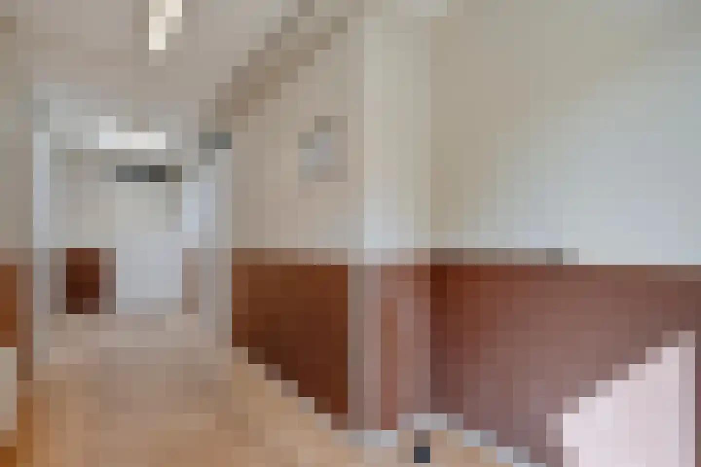 Grimberg 3 Raalte thumbnail 23