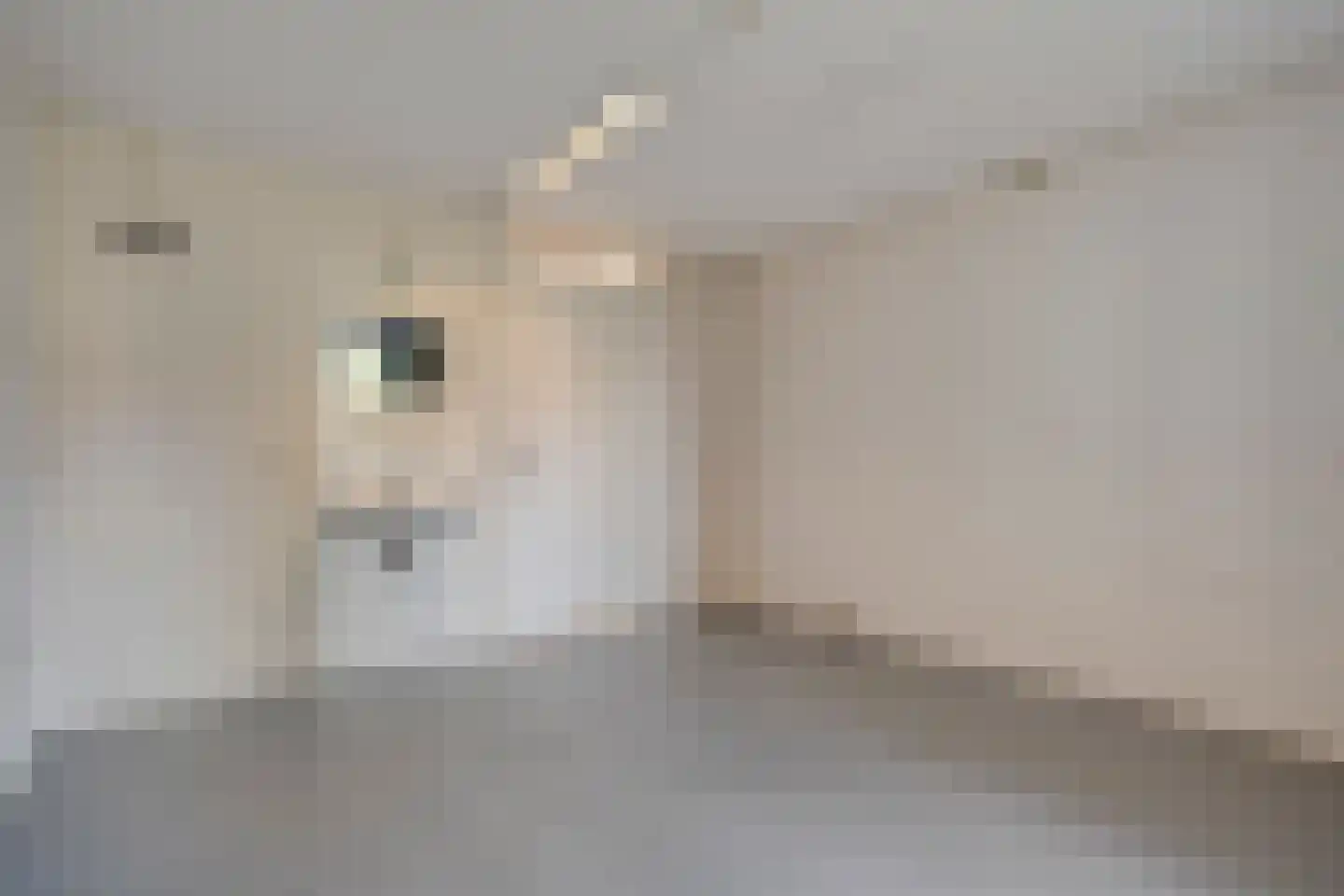 Grimberg 3 Raalte thumbnail 32