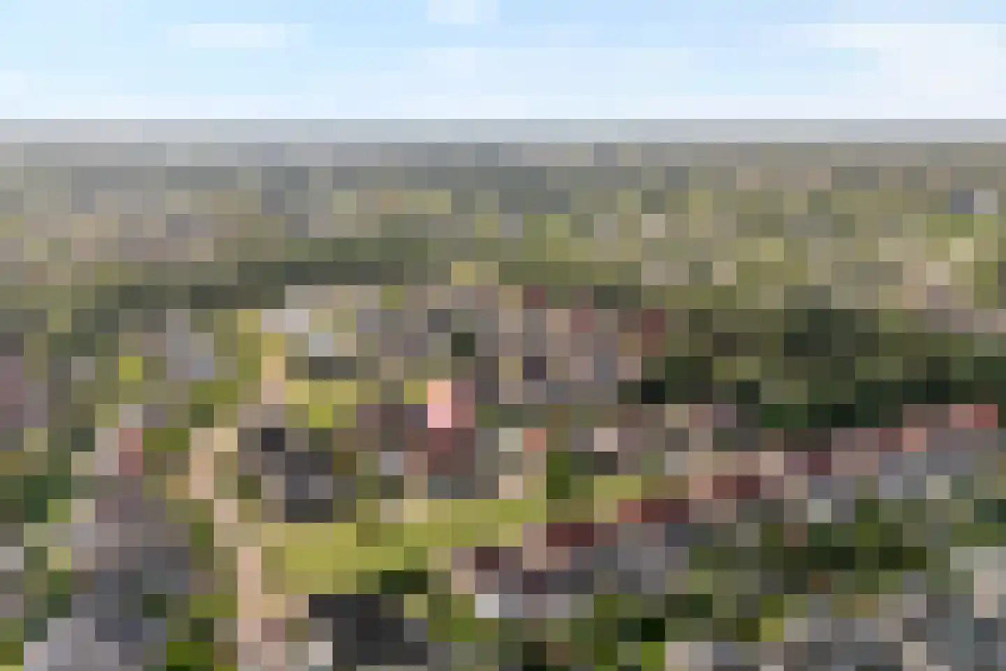 Grimberg 3 Raalte thumbnail 4
