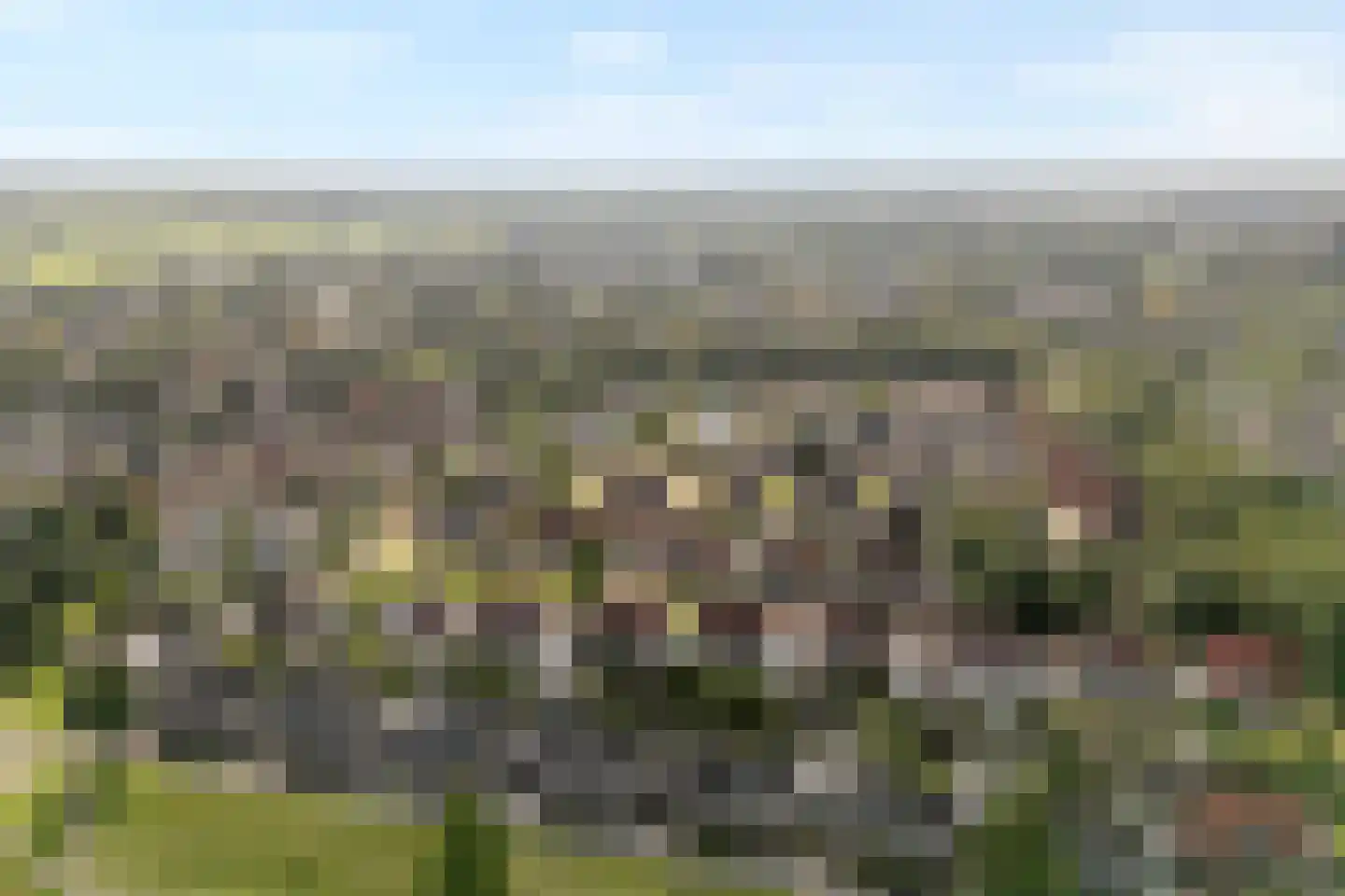 Grimberg 3 Raalte thumbnail 7