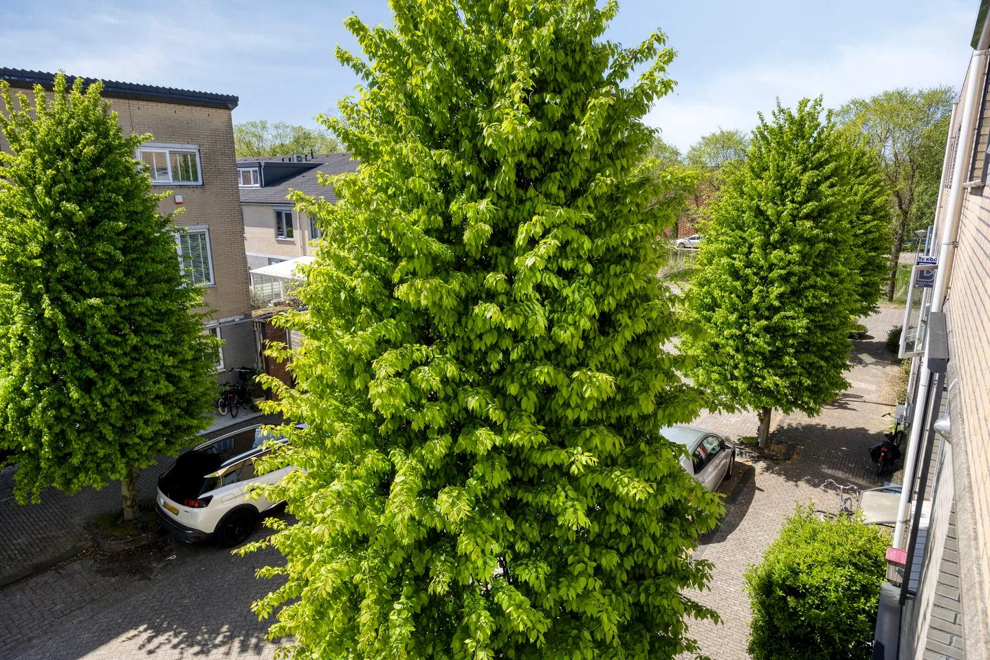 Grimbergenstraat 26 Amsterdam thumbnail 25
