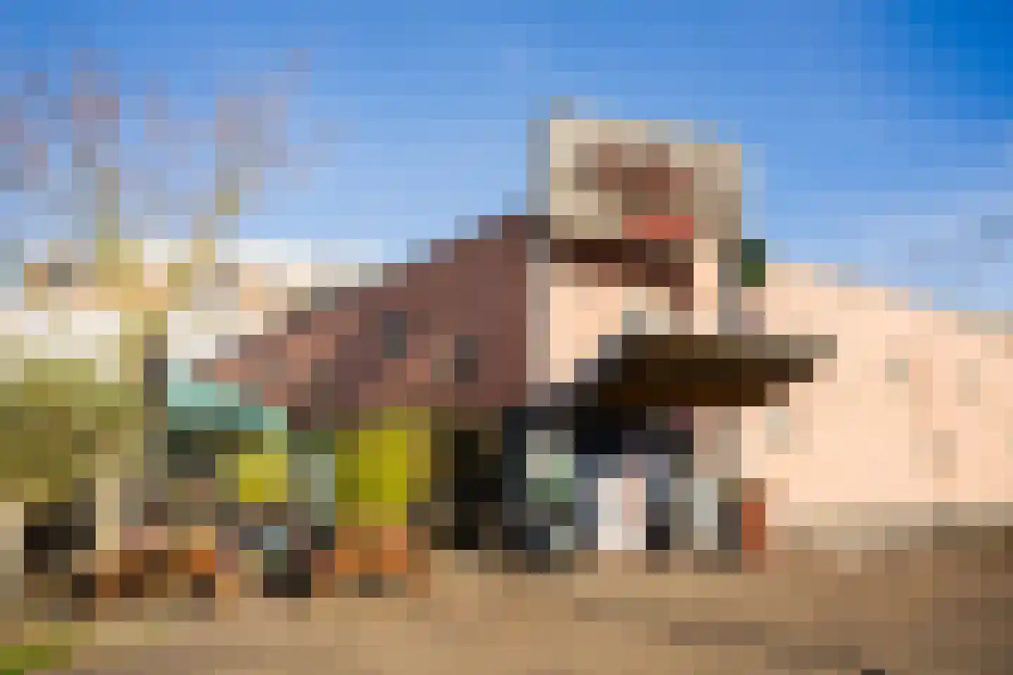 Grimbergenstraat 32 Amsterdam thumbnail 43