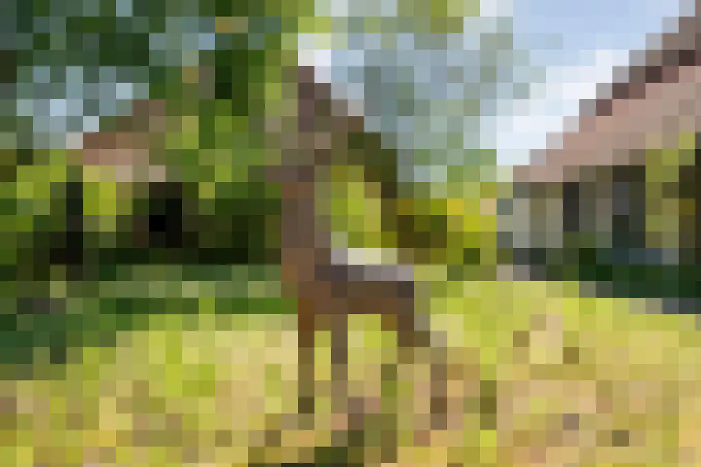 Grimbergerzijweg 4 Notter thumbnail 104