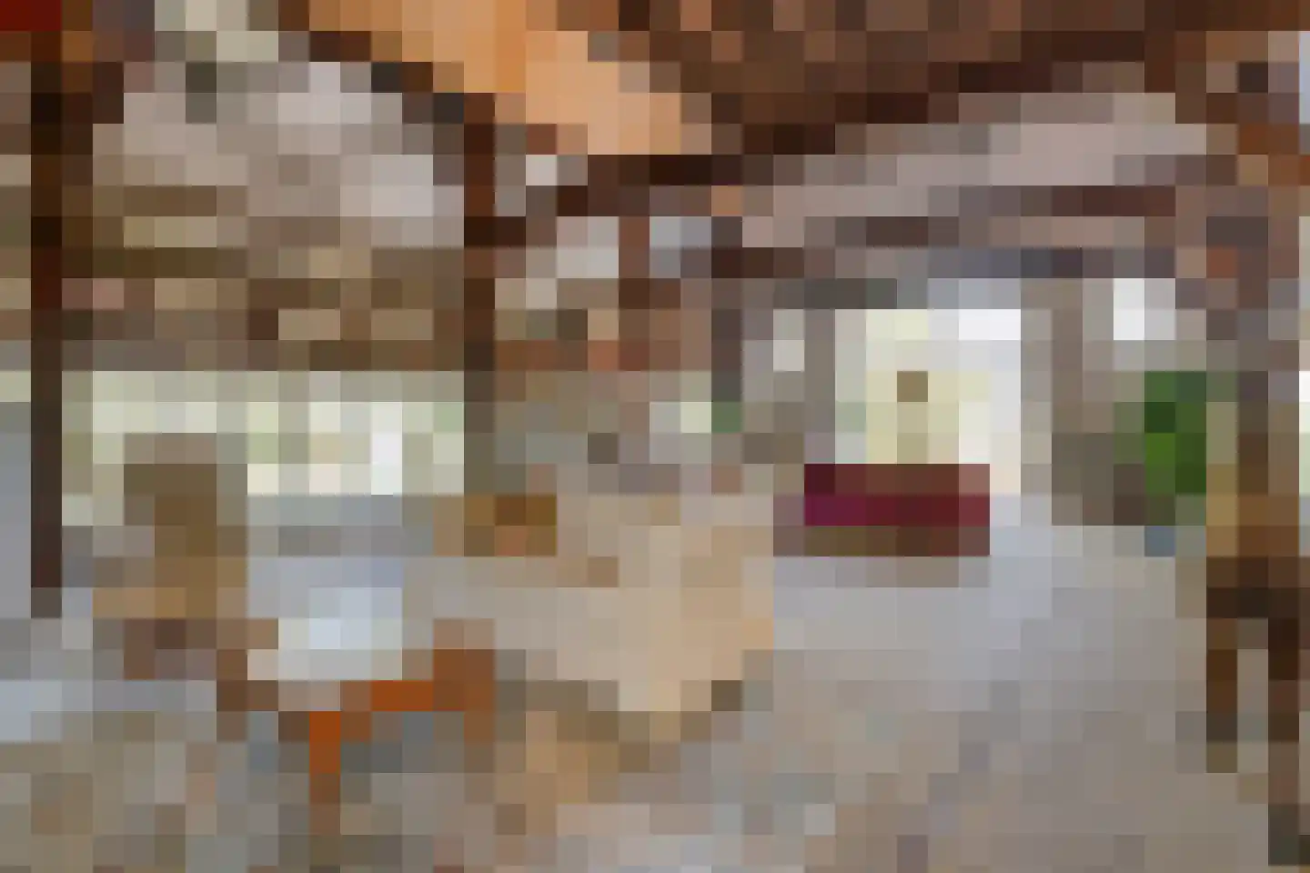 Grimbergerzijweg 4 Notter thumbnail 17