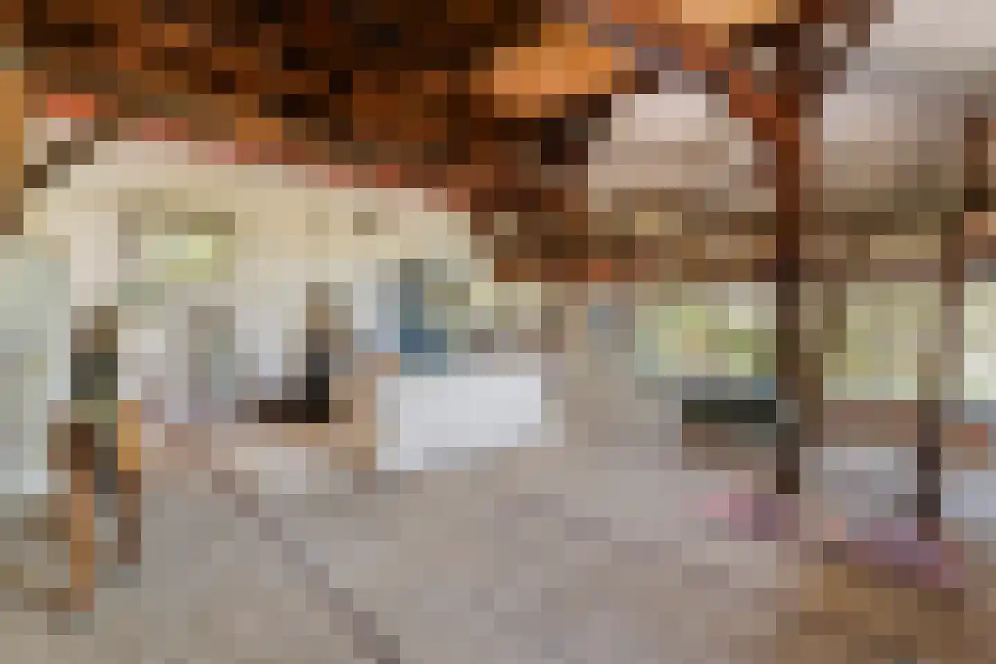 Grimbergerzijweg 4 Notter thumbnail 19