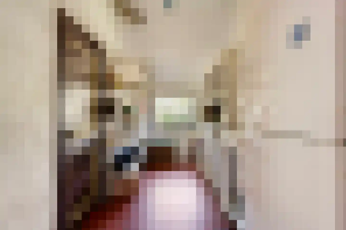 Grimbergerzijweg 4 Notter thumbnail 32