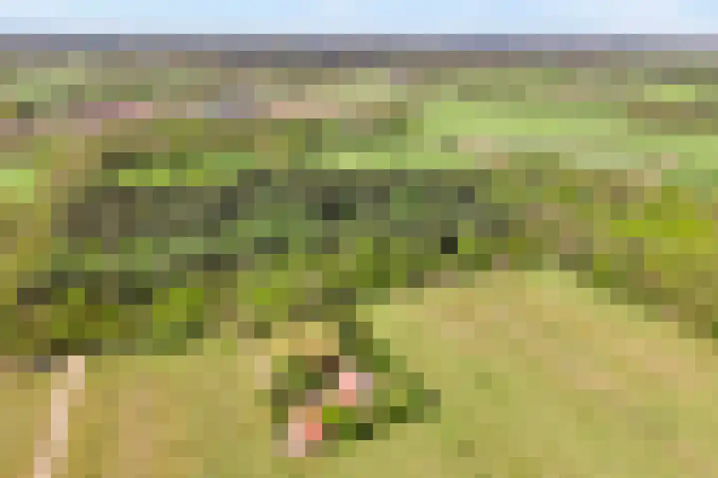 Grimbergerzijweg 4 Notter thumbnail 4