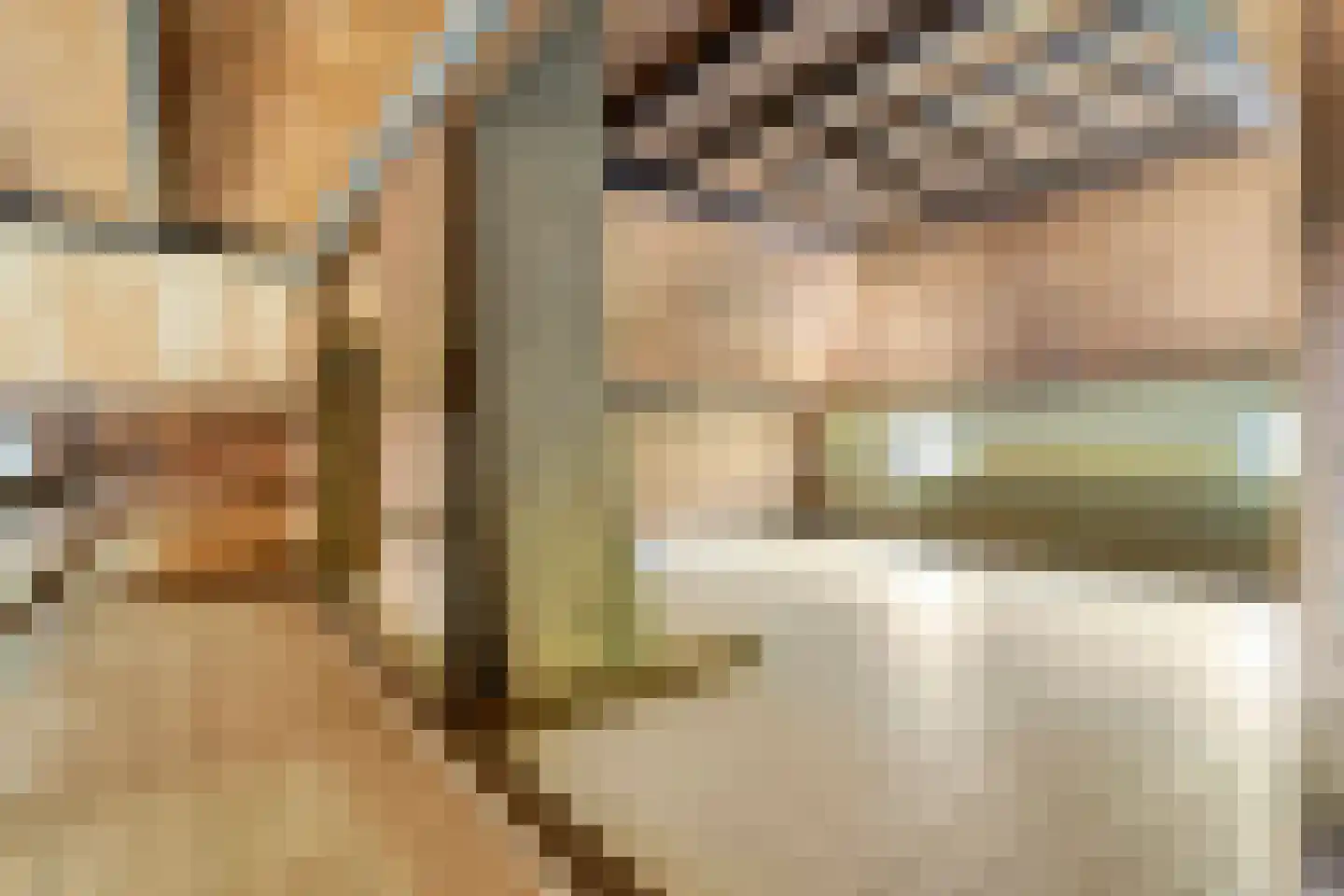 Grimbergerzijweg 4 Notter thumbnail 42