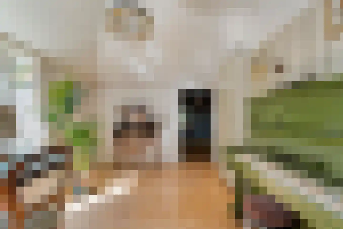 Grimbergerzijweg 4 Notter thumbnail 46