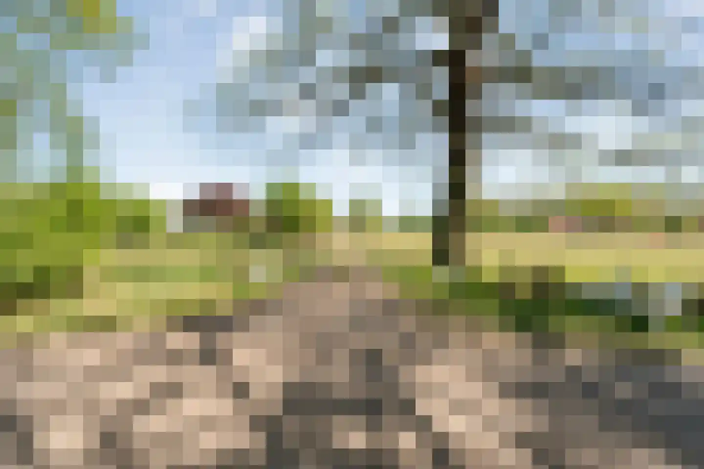 Grimbergerzijweg 4 Notter thumbnail 5