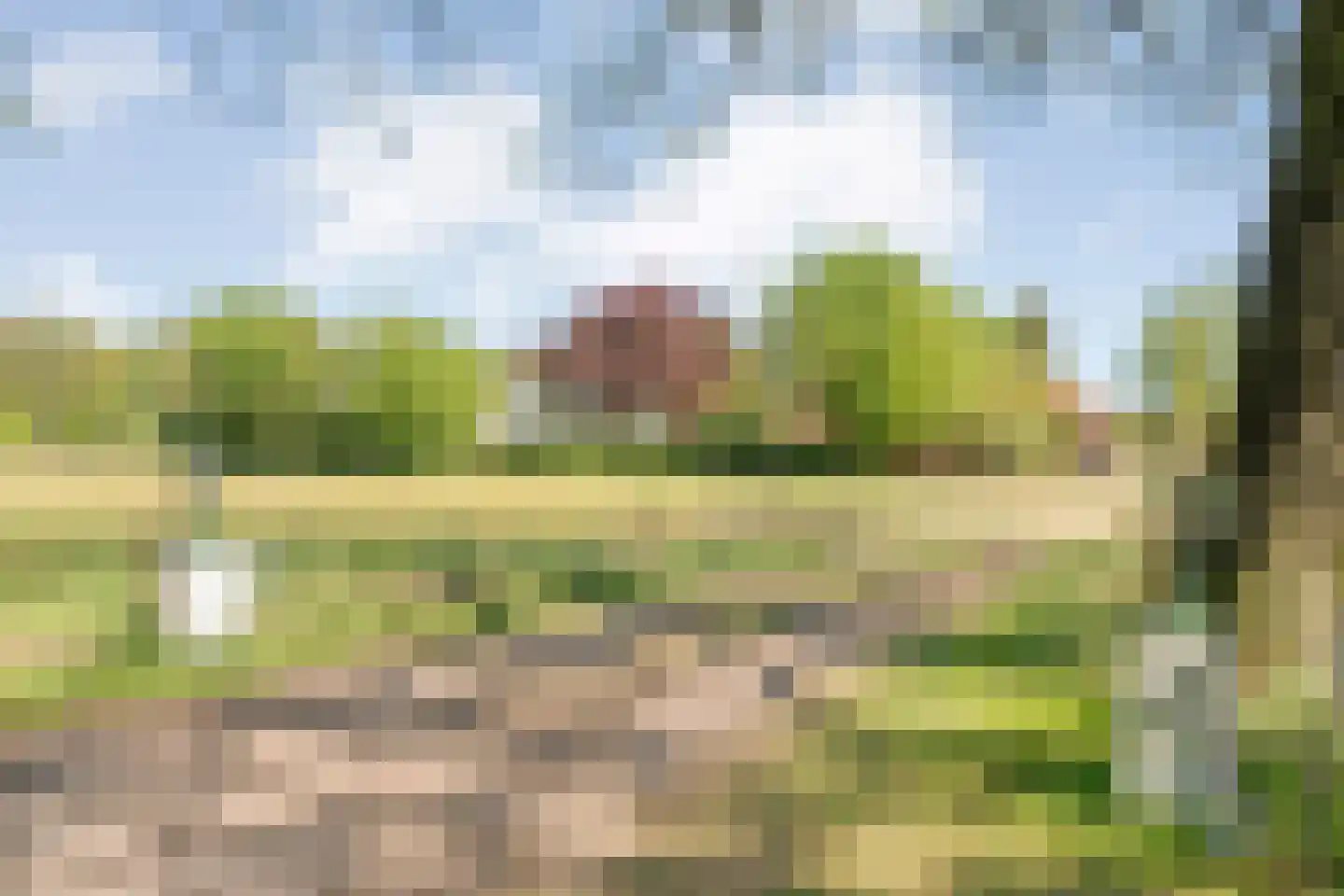 Grimbergerzijweg 4 Notter thumbnail 6