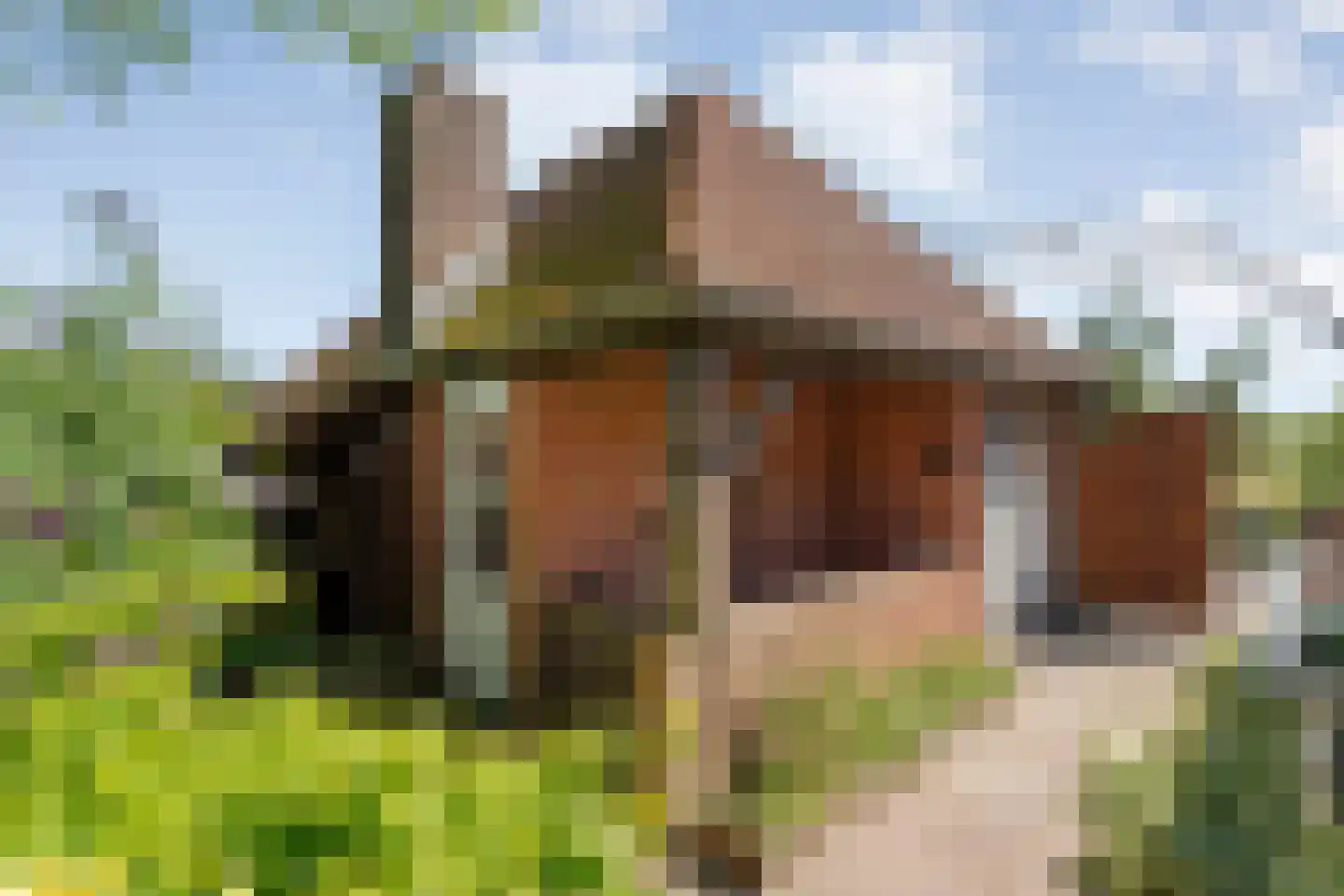 Grimbergerzijweg 4 Notter thumbnail 65