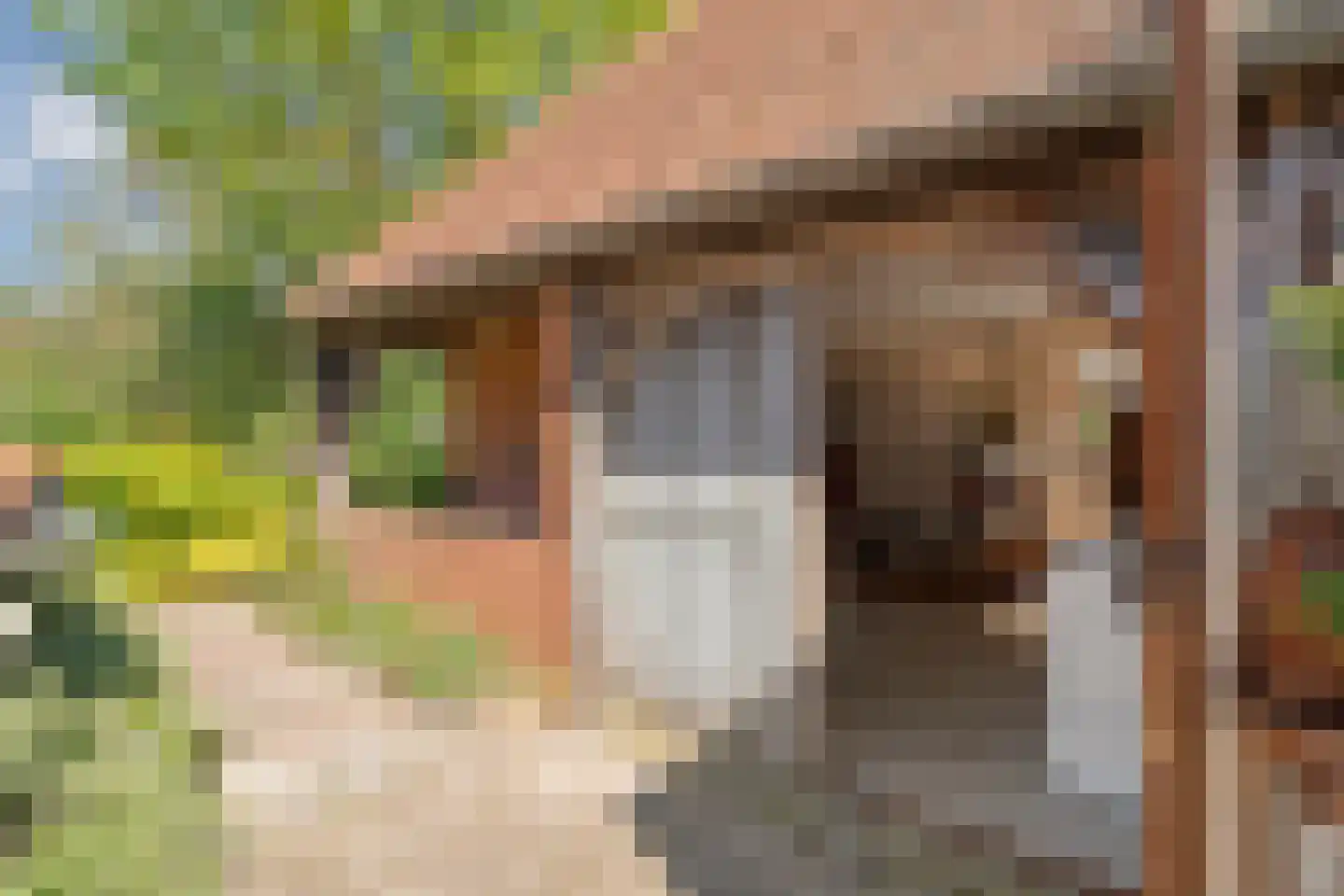 Grimbergerzijweg 4 Notter thumbnail 66