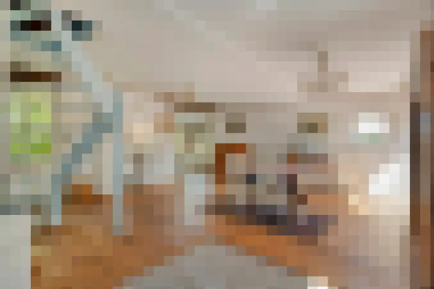 Grimbergerzijweg 4 Notter thumbnail 69