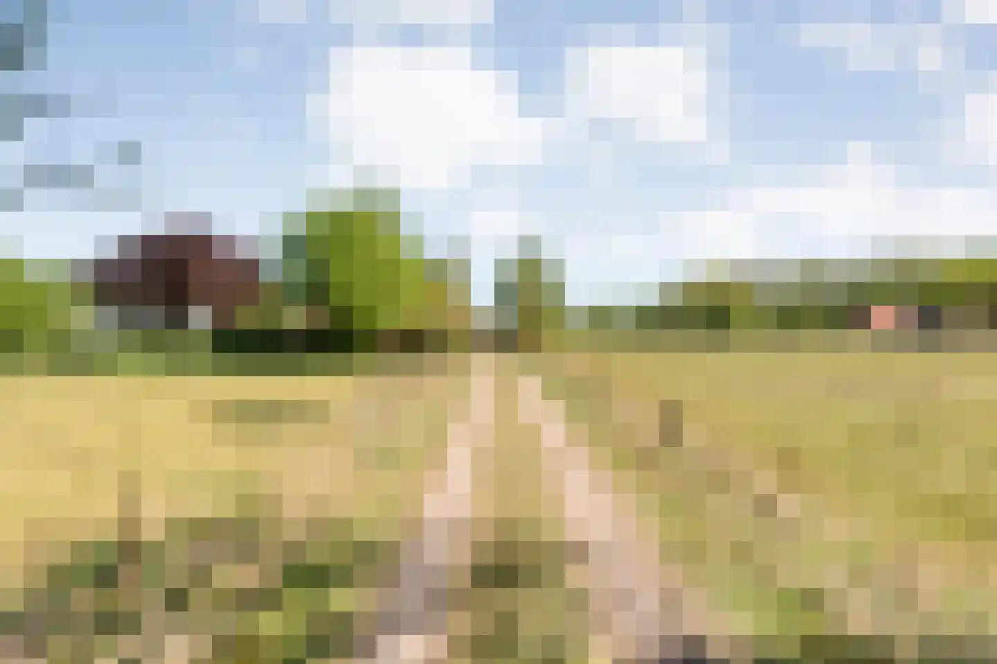 Grimbergerzijweg 4 Notter thumbnail 7
