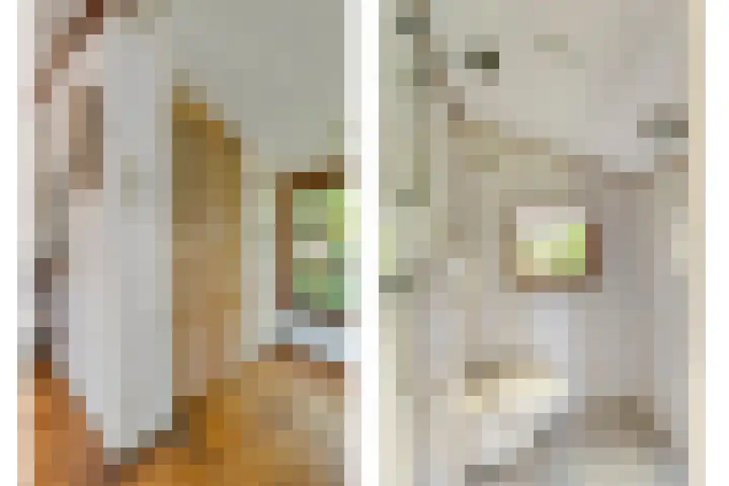 Grimbergerzijweg 4 Notter thumbnail 70
