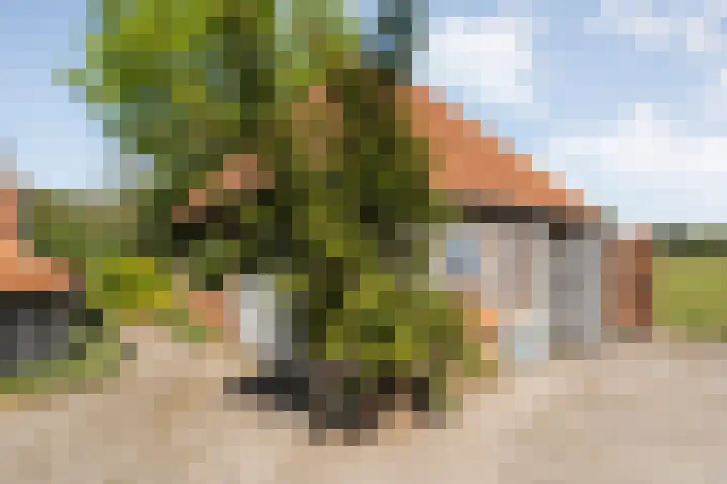 Grimbergerzijweg 4 Notter thumbnail 80