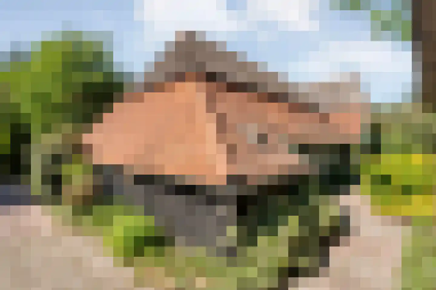 Grimbergerzijweg 4 Notter thumbnail 82