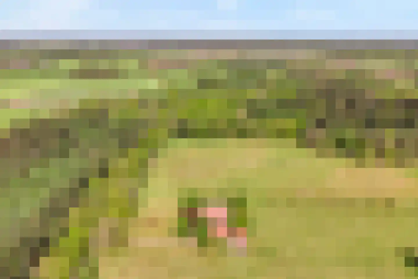 Grimbergerzijweg 4 Notter thumbnail 83