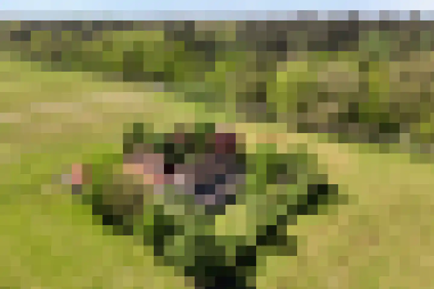 Grimbergerzijweg 4 Notter thumbnail 84