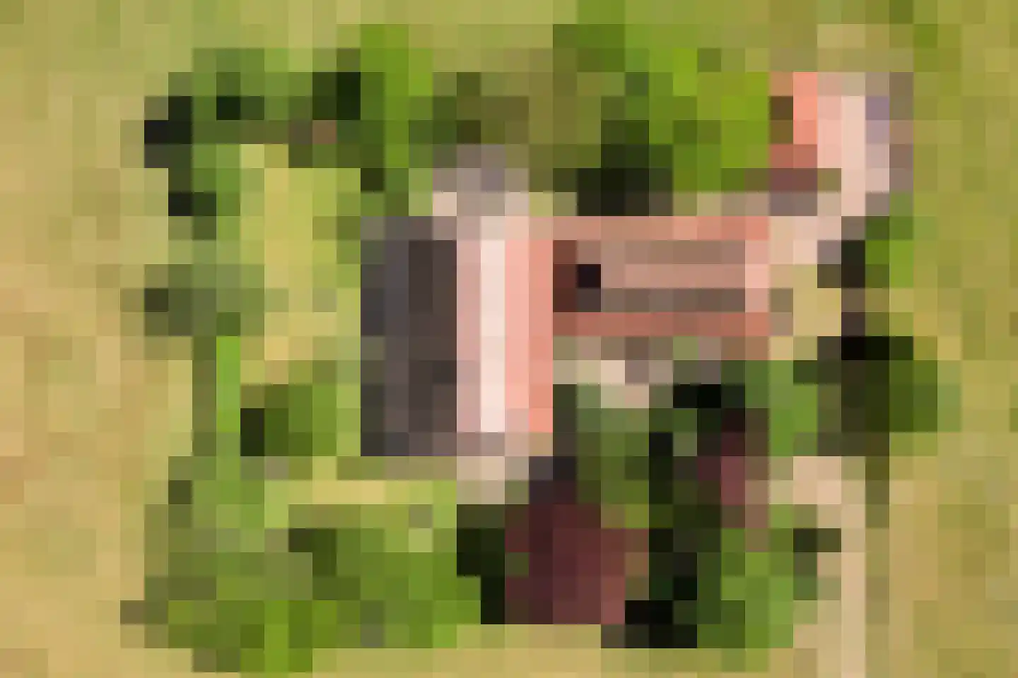 Grimbergerzijweg 4 Notter thumbnail 85