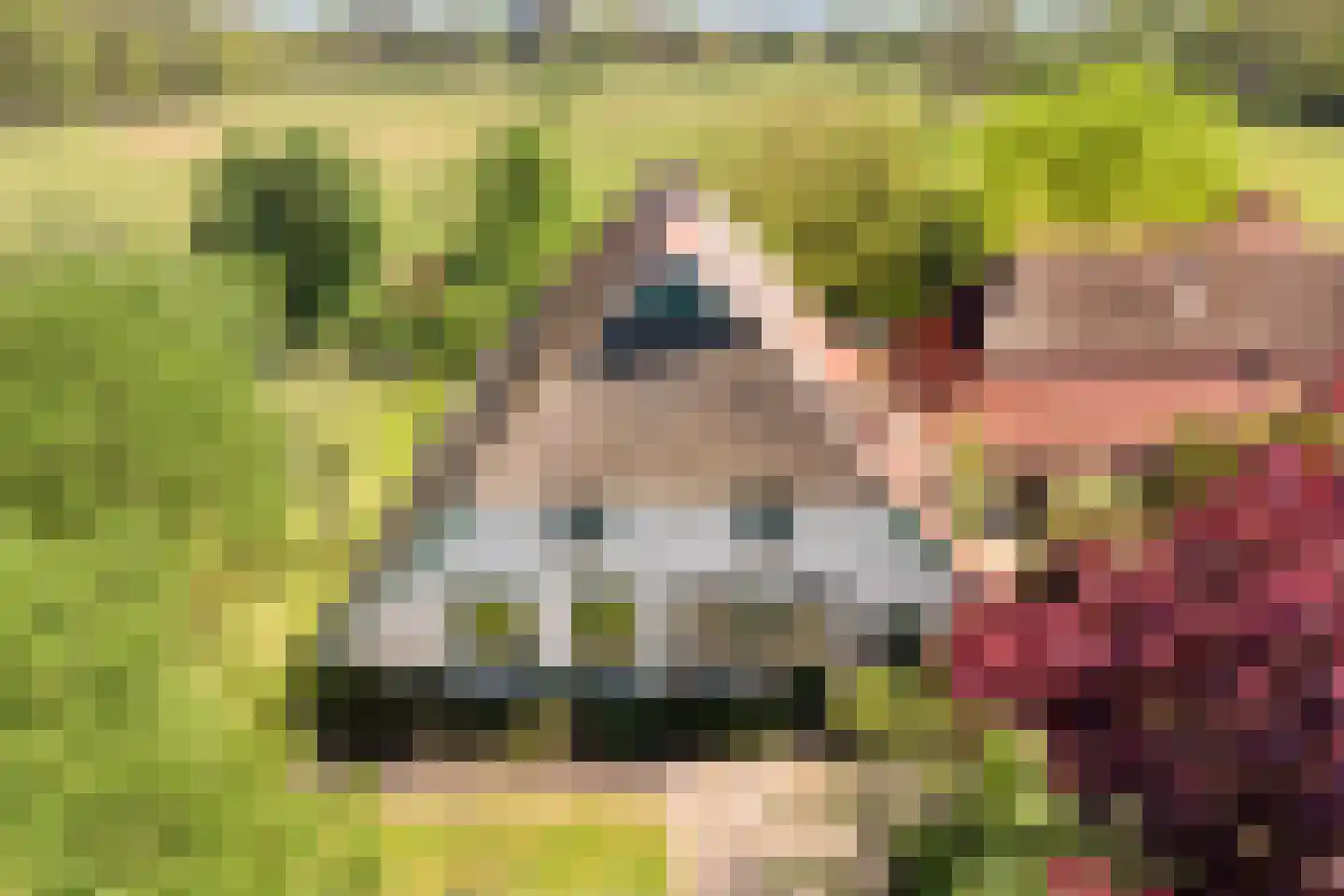 Grimbergerzijweg 4 Notter thumbnail 86