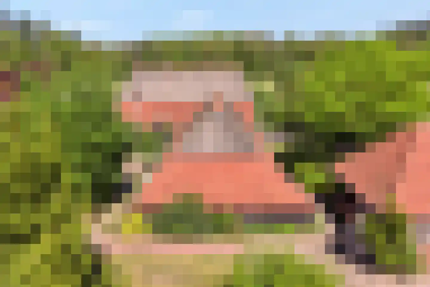 Grimbergerzijweg 4 Notter thumbnail 87
