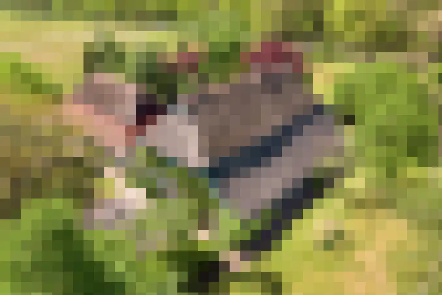 Grimbergerzijweg 4 Notter thumbnail 88