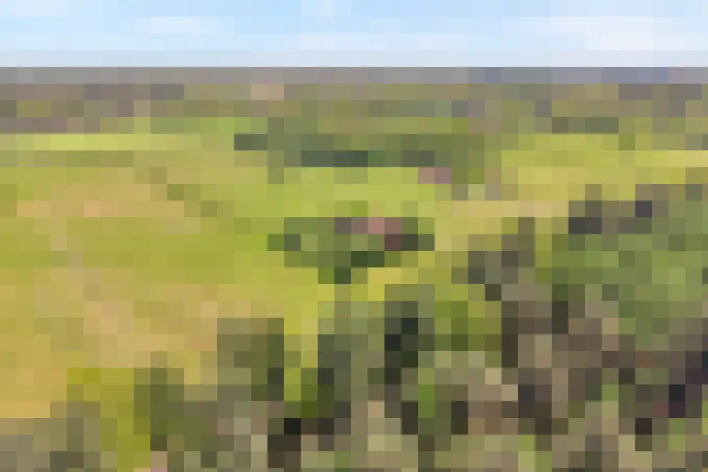 Grimbergerzijweg 4 Notter thumbnail 89