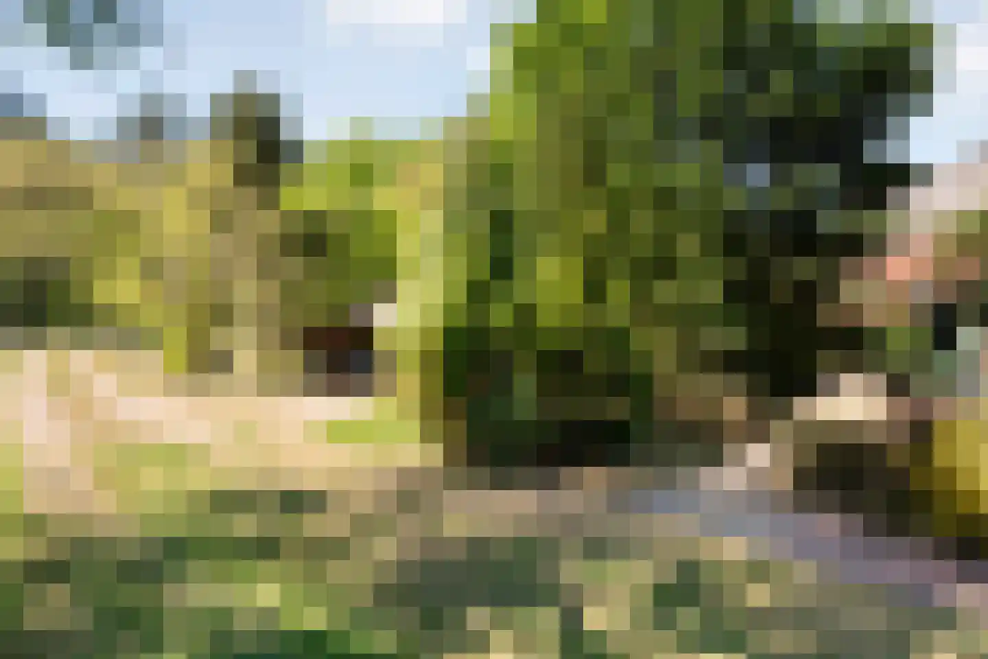 Grimbergerzijweg 4 Notter thumbnail 9