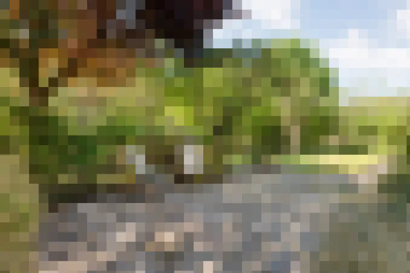Grimbergerzijweg 4 Notter thumbnail 91