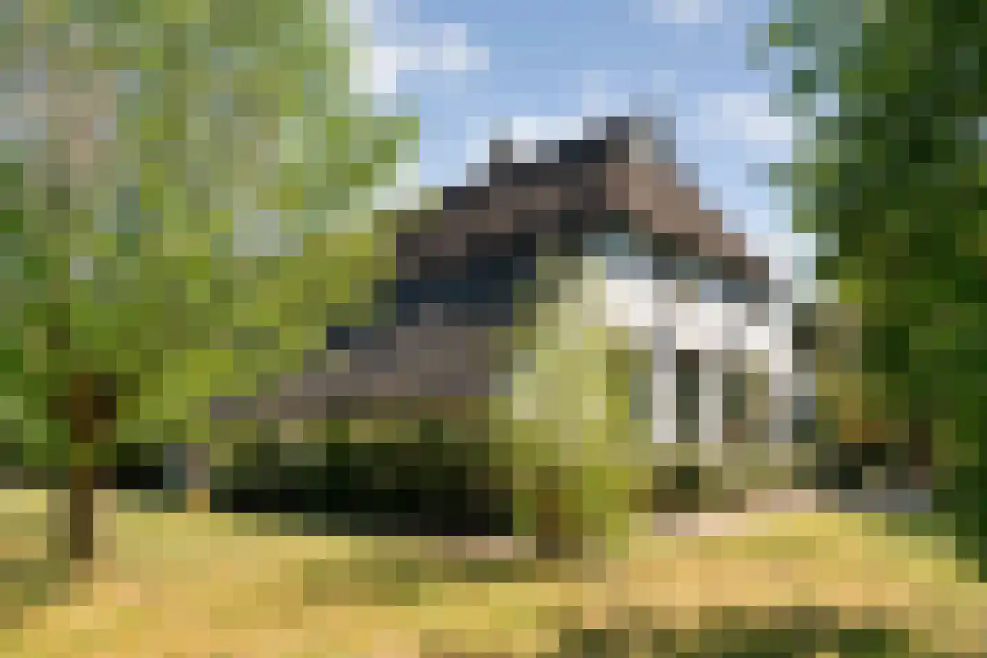 Grimbergerzijweg 4 Notter thumbnail 95