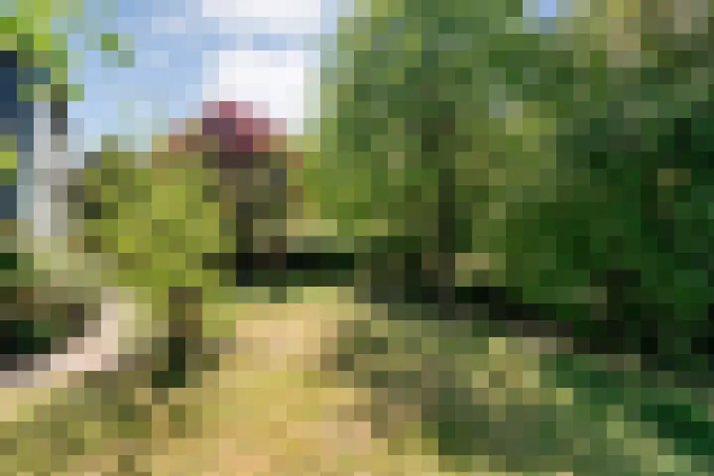 Grimbergerzijweg 4 Notter thumbnail 96