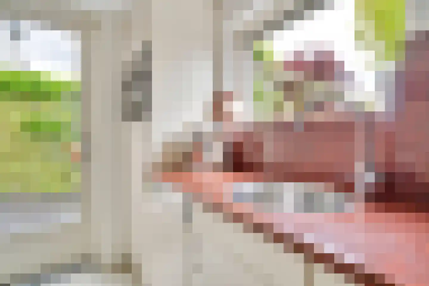 Grimberghoek 24 Enschede thumbnail 18