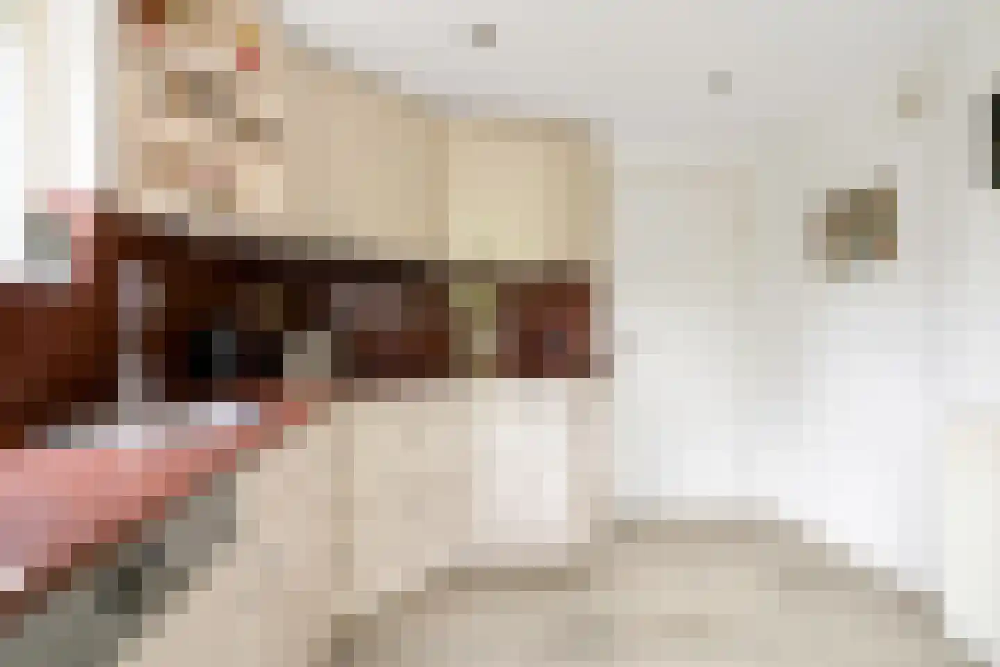 Grimberghoek 24 Enschede thumbnail 19