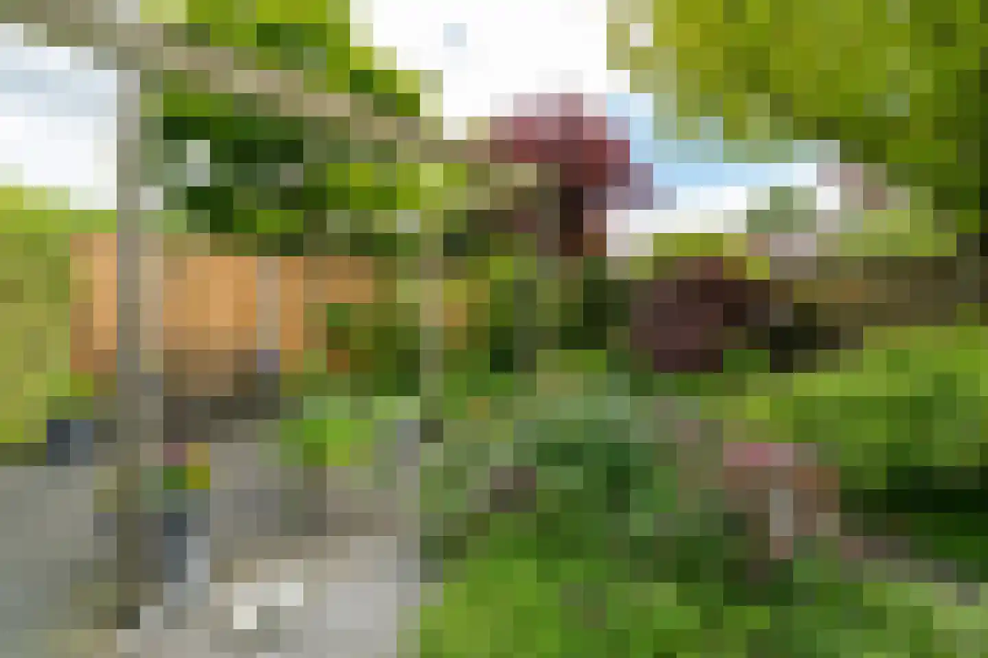 Grimberghoek 24 Enschede thumbnail 35