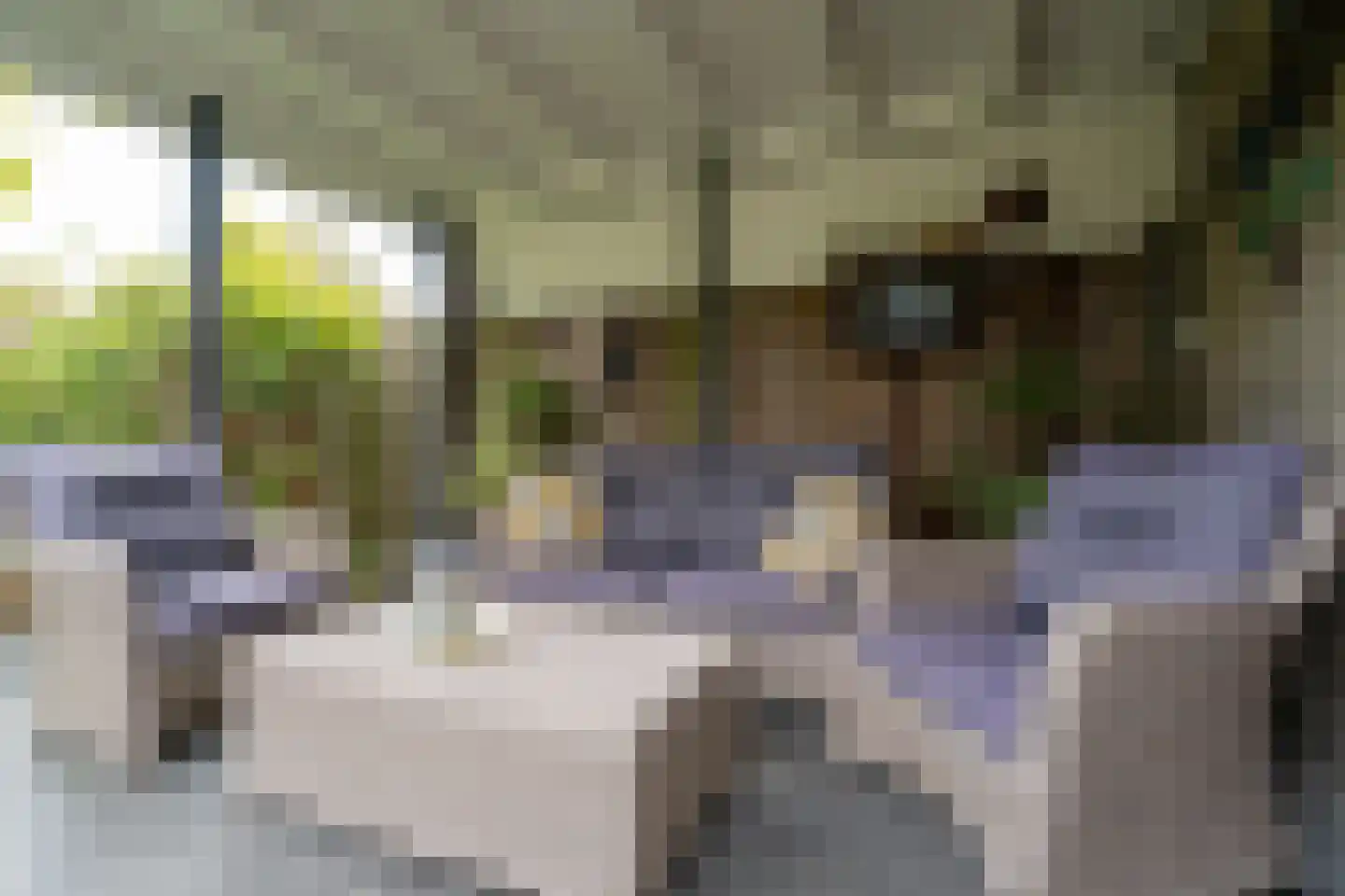 Grimberghoek 24 Enschede thumbnail 36