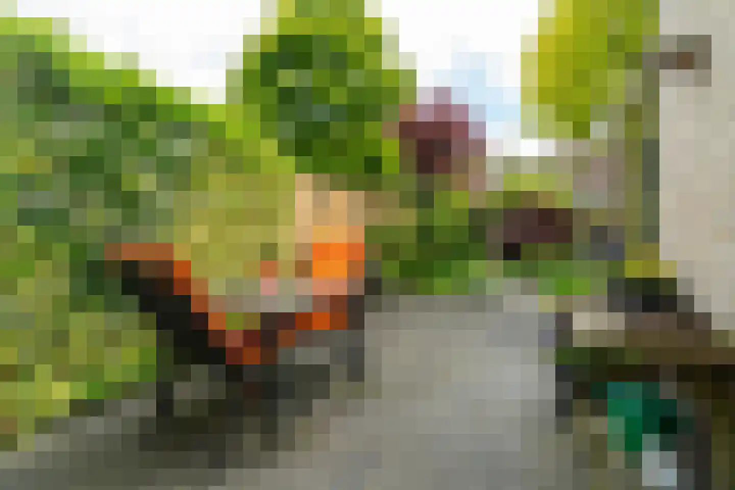 Grimberghoek 24 Enschede thumbnail 37