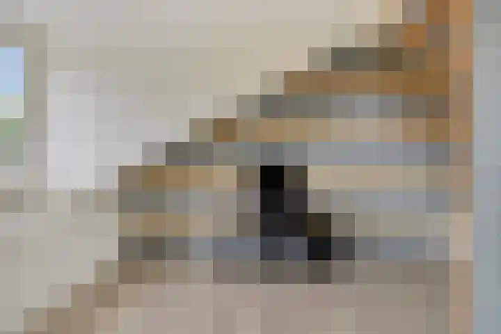 Grimberghoek 34 Enschede thumbnail 31