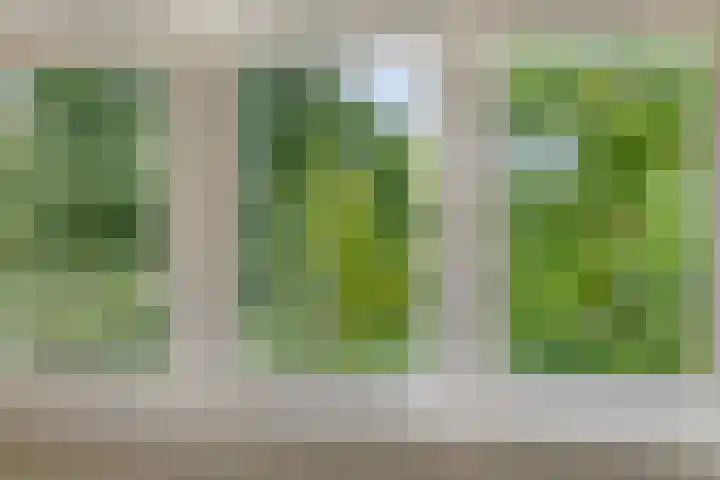 Grimberghoek 34 Enschede thumbnail 34