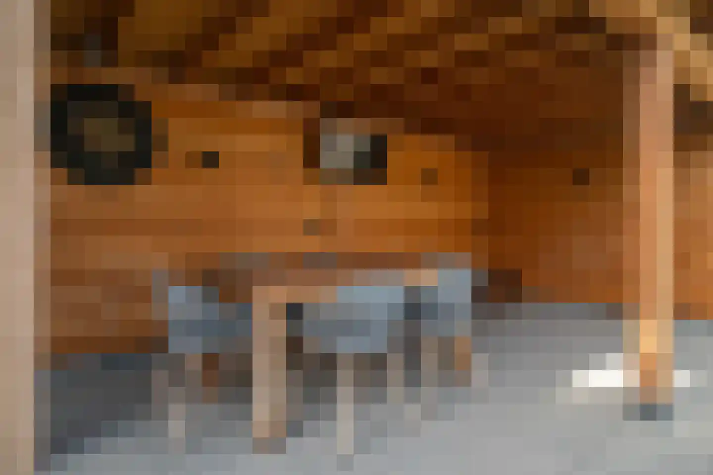 Grimberghoek 43 Enschede thumbnail 37